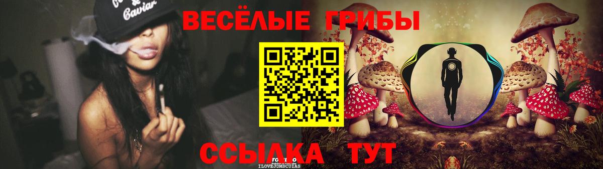 Псилоцибиновые грибы GOLDEN TEACHER Нальчик